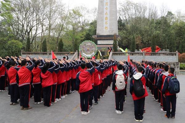携手大众POLO和丰田致炫哪个好,共享知识乐园